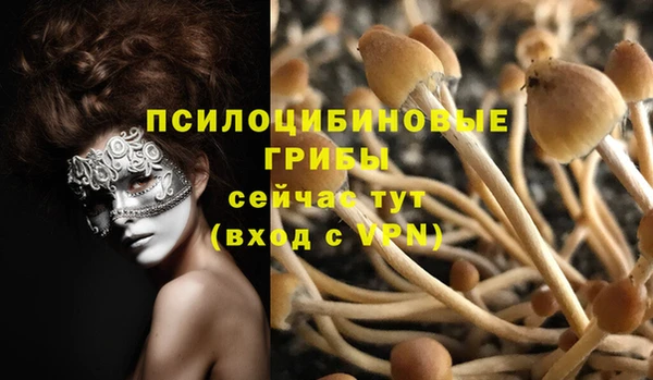молекула духа Алзамай