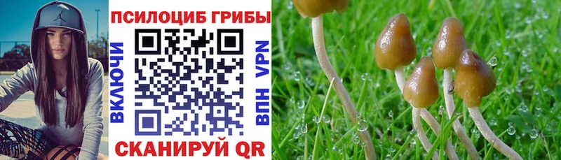 Галлюциногенные грибы мицелий  наркота  Искитим 