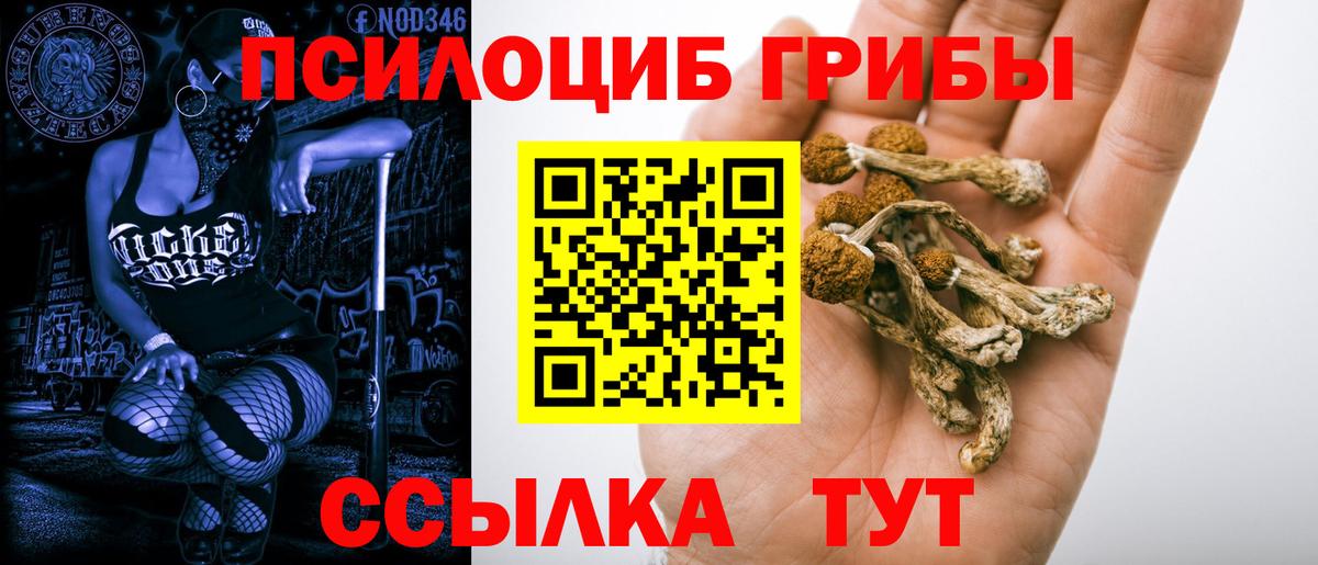 Канабис  Вход с VPN  Наркошоп  Меф кристаллы  ЭКСТАЗИ  Искитим  ГАШИШ 