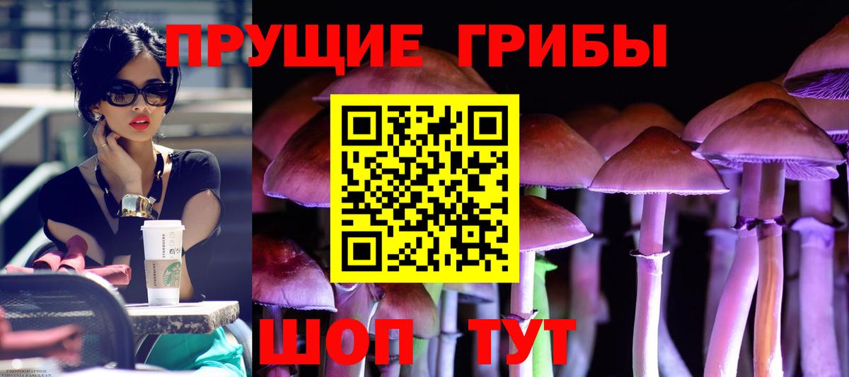 Искитим  Псилоцибиновые грибы прущие грибы  Вход с VPN  Псилоцибиновые грибы Psilocybine cubensis 